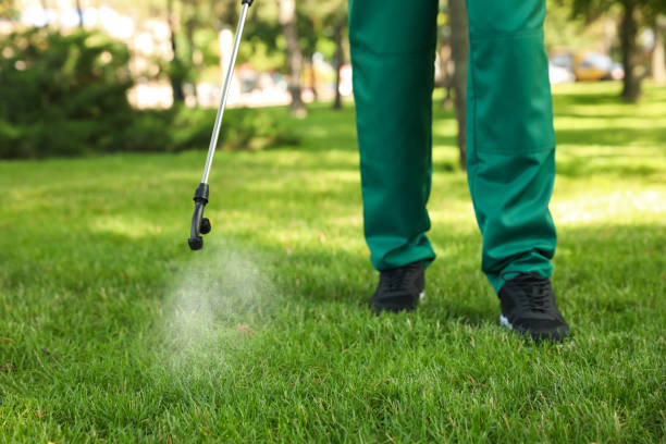 Best Emergency Pest Control  in Medfd, OR