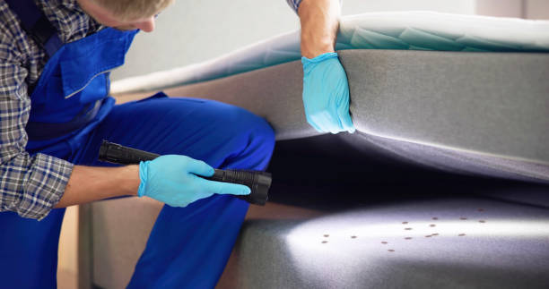 Best Mosquito Control Services  in Medfd, OR