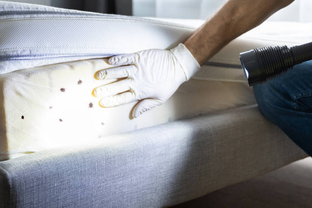 Best Residential Pest Control  in Medfd, OR