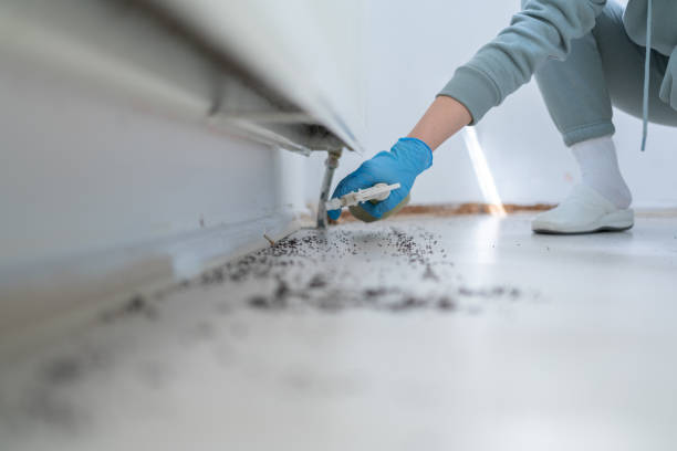 Best Residential Pest Control  in Medfd, OR